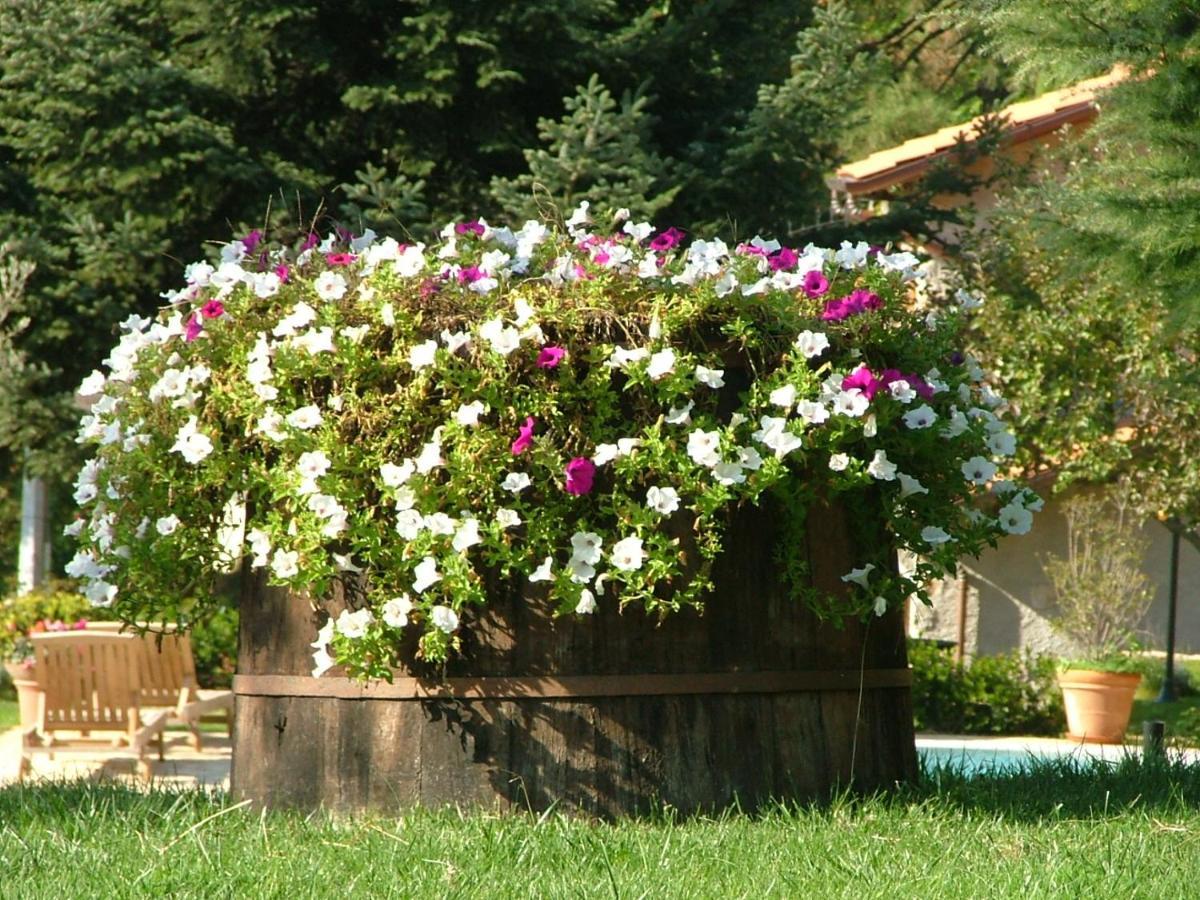 La Terrazza Sulla Versilia Pietrasanta Exterior foto